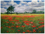 "Mohnwiese"  30 x 40 cm
