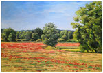 "Mohn bei Kerkow" 50 x 70 cm (verkauft)