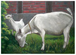 "Ziegen"  50 x 70 cm  (verkauft)
