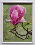 "Magnolien III"  24 x 18 cm