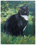 "Willi"  30 x 40 cm (Auftragsarbeit)