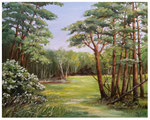 "Waldlichtung" 40 x 50 cm