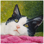"Kätzchen 2"  30 x 30 cm (verkauft)