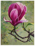 "Magnolienblüte"  24 x 18 cm