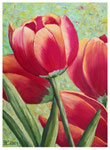 "Tulpen"  24 x 18 cm (verschenkt)