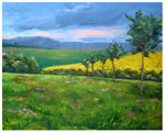 "Rapsfeld II" gespachtelt 40 x 50 cm