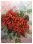 "Weihnachtsstern"  40 x 30 cm