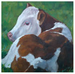 "Kälbchen"  40 x 40 cm (verkauft)