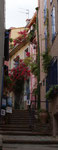 Gassen von Collioure