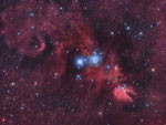>> 2'600 Lichtjahre - Nebelkomplex  NGC2264; enthält den "Christbaum-Haufen" und den dunklen "Konusnebel".
