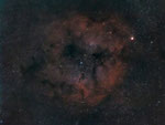 Das ganze Feld (4°) um IC1396. Der "Rüssel zeigt von unten Richtung Zentrum.