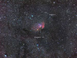 >> 6'000 Lichtjahre  -  Cygnus X-1; Schwarzes Loch in Binärsystem; eine der prominentesten Röntgenquellen (X-Strahlen, daher X-1).
