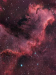 Die "Cygnus Wall" als markanteste Form in NGC7000, im Detail.
