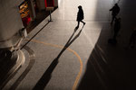 Januar 2025 - kurze Tag - lange Schatten