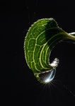 August 2024 - Wunder der Natur