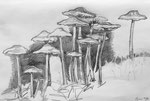Mushrooms 2, 2016, graphit pen on paper, 21 x 29,7 cm