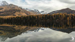 Lago di Sils