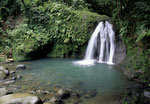 Cascada Ecrevisse © Giraud 2014, Comité du Tourisme des îles de  Guadeloupe CTIG