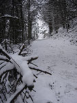 ... und wiederum durch einewunderschöne Winterlandschaft dem Gipfel entgegen.