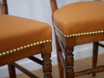 Cuir Danube Sofic