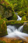 Gertelbachschlucht im Frühherbst No5