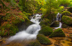 Gertelbachschlucht im Frühherbst No4