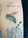 realistic tattoo by Mauri Manolibera Tattoo - freehandtattoo / Mauri's Tattoo&Gallery, Borgomanero (Italia)