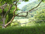 Landschaft, Foto: Sophie Wiggenhauser