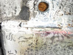 Detail,Letzer Traum...