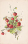 HWB 3198 Bouquet de feuilles et fraises