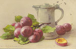 STZF 1250 Cruche argentée et prunes