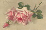 M&B 2466 2 roses rose-blanche, 1 bouton rose