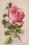 Jounok 177 [1 rose rose, 2 boutons rouge, 1 vert - vertical]