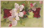 Anonyme 269,2 (Serie 269.) Fleurs de pommiers blanches, 4 boutons roses, sur bandeau vert