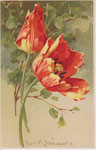 M&B 1643 2 tulipes rouge-jaune, sur fond de feuilles