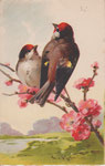 Jounok 231 2 oiseaux à tête rouge sur fleur rose, branche venant de droite