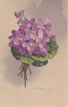HWB 2168 Bouquet de violettes avec tiges côté gauche et 1 fleur en haut