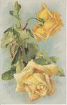 WNB S.4163 2 roses jaunes, 1 bouton vert