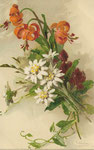 GOM 1808 fleurs de lys oranges, edelweiss blanches et fleurs violettes