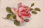 Jounok 178 [1 rose rose, 1 bouton rouge, 1 vert]