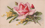 Jounok SN 1 rose rose, 1 bouton rouge, 1 vert, mimosa (H)