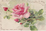 PFB 1882 Gruppe 9. 1 rose rose, 3 boutons roses