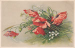 TSN 1119 Coquelicots rouges et fleurs blanches