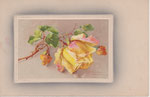 M&B 1594 1 rose jaune-rose, 2 boutons jaune-orange, en cadre rectangulaire bordé blanc
