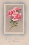 M&B 1593 3 roses rose en cadre rectangulaire bordé blanc