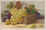 TSN 1902 Panier avec raisins noirs et blancs, feuilles de chêne