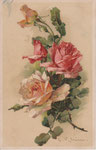 TSN 1120 [1 rose abricot-blanc, 1 rose rose, 1 bouton rouge, 1 abricot et 2 verts]
