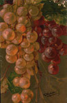 WN 531  Grappe de raisins jaunes et bordeaux