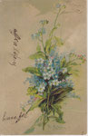 PFB 1882 Myosotis en bouquet
