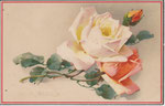 M&B 2049 1 rose blanche, 1 abricot, 1 bouton abricot bords P.